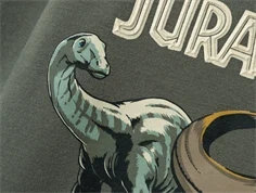 Name It tea leaf Jurassic World sweatshirt